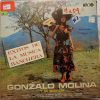 Gonzalo Molina - Éxitos De La Música Ranchera Vinilo