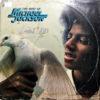 Michael Jackson - The Best Of Michael Jackson (Promocional) Vinilo