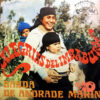 Banda Andrade Marín - Alegrías Del Imbabura Vol. 1 Vinilo