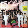 Don Medardo Y Sus Players - 15 Años De Triunfos Vol. 30 Vinilo
